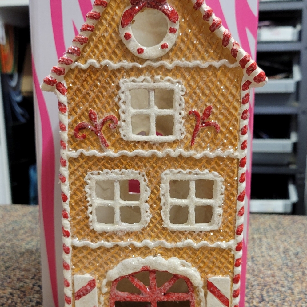 Pink Zebra Gingerbread House Accent Shade